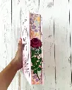 71vvCCUtEWL._SL1350_.webp