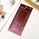 a2c04a5e-164c-4d45-ba55-2243e4cc09e5.webp