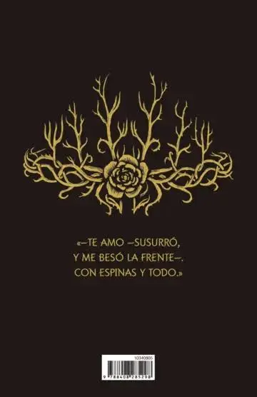 images (1).webp