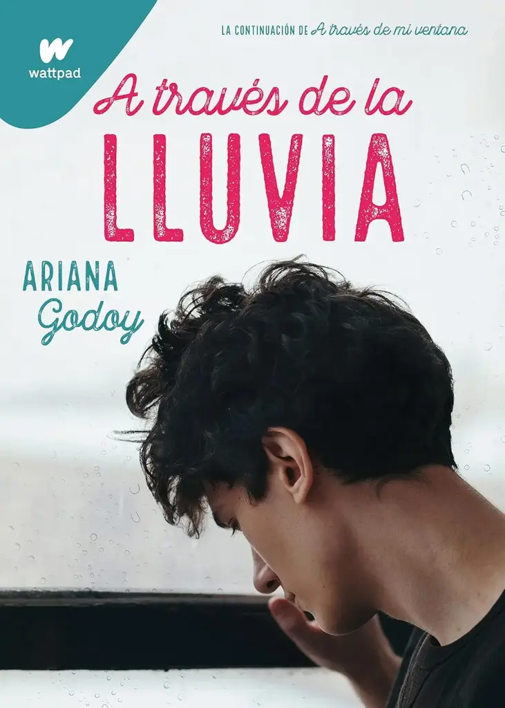 A traves de la lluvia | Ariana Godoy
